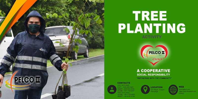 Your alternative title