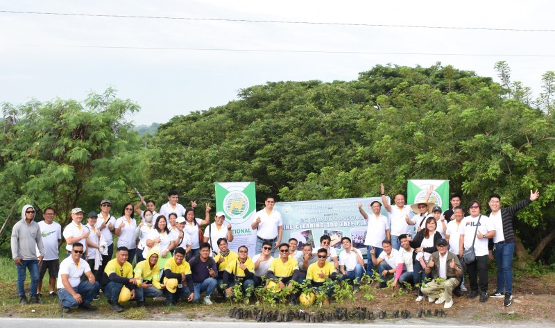 Your alternative title