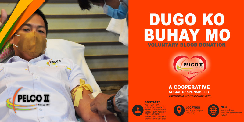 Your alternative title